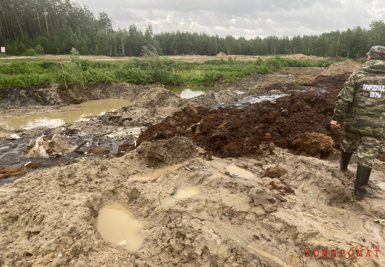 
        Замгубернатора ХМАО не видит угрозы для лесов Сургута. Местный Природнадзор обвиняют в имитации деятельности
    