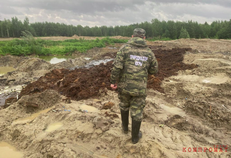 
        Лесфонд ХМАО превратили в отстойник отходов с КОС Сургута. Экологи сообщили о коррупции в Природнадзоре
    